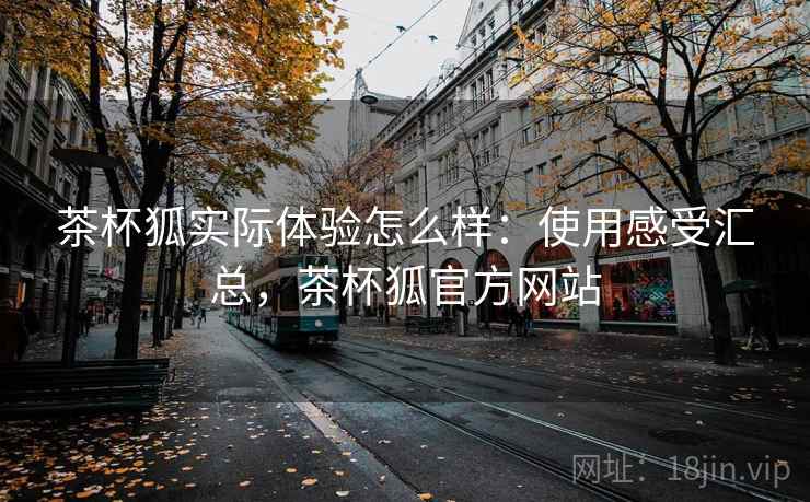 茶杯狐实际体验怎么样：使用感受汇总，茶杯狐官方网站