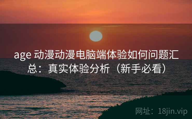 age 动漫动漫电脑端体验如何问题汇总：真实体验分析（新手必看）