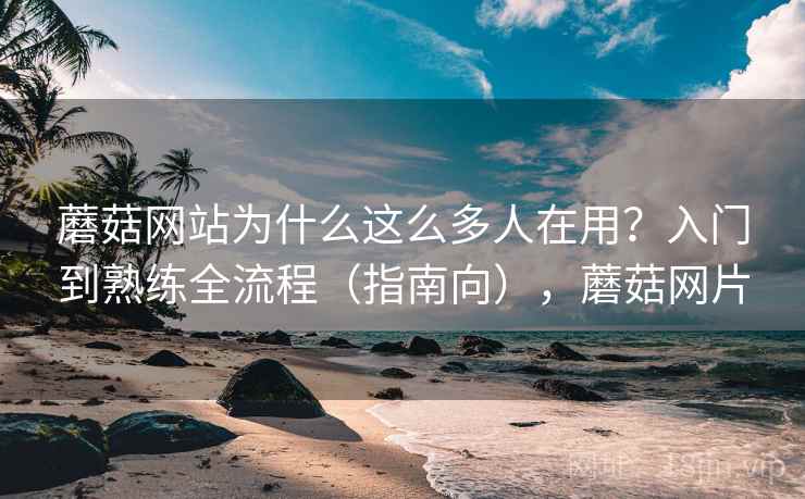 蘑菇网站为什么这么多人在用？入门到熟练全流程（指南向），蘑菇网片