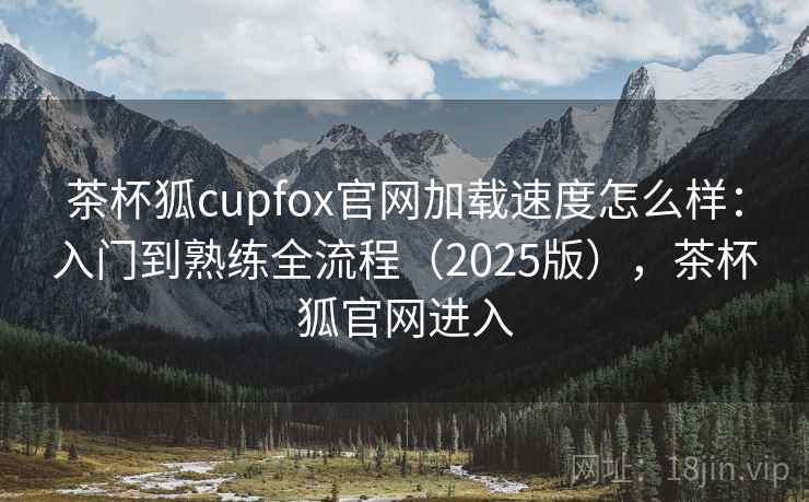 茶杯狐cupfox官网加载速度怎么样：入门到熟练全流程（2025版），茶杯狐官网进入