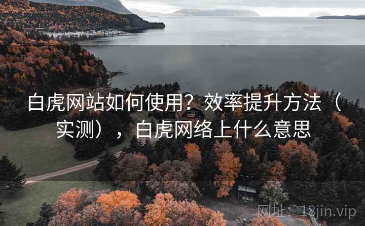 白虎网站如何使用？效率提升方法（实测），白虎网络上什么意思