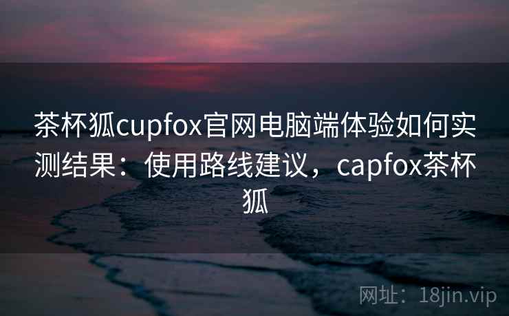 茶杯狐cupfox官网电脑端体验如何实测结果：使用路线建议，capfox茶杯狐