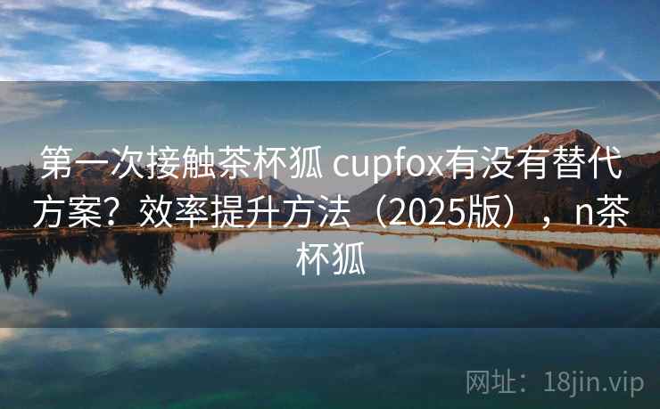 第一次接触茶杯狐 cupfox有没有替代方案？效率提升方法（2025版），n茶杯狐