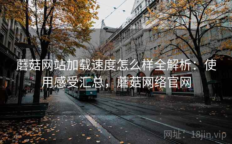 蘑菇网站加载速度怎么样全解析：使用感受汇总，蘑菇网络官网
